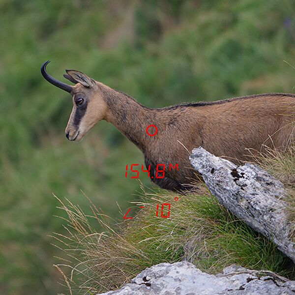 GPO RANGEGUIDE  3200 10x40  schwarz