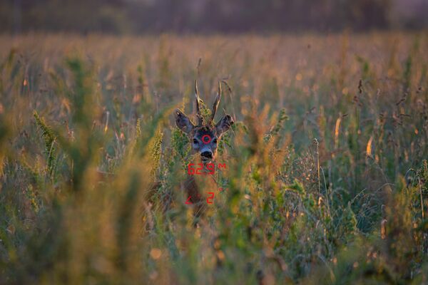 GPO RANGETRACKER 2000 OLED  Green