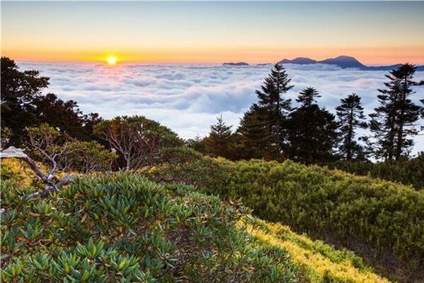 H&Y K-Serie Grauverlaufsfilter  0.6 ND4 Hard 100 x150mm (2 Blendenstufen)