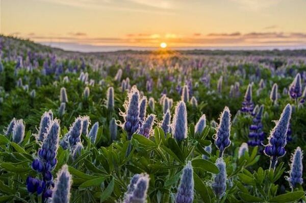 H&Y K-Serie Grauverlaufsfilter  0.6 ND4 Hard 100 x150mm (2 Blendenstufen)