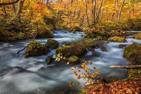 H&Y K-Serie ND-Polfilter  1,8 ND64, 6 Blenden 95mm