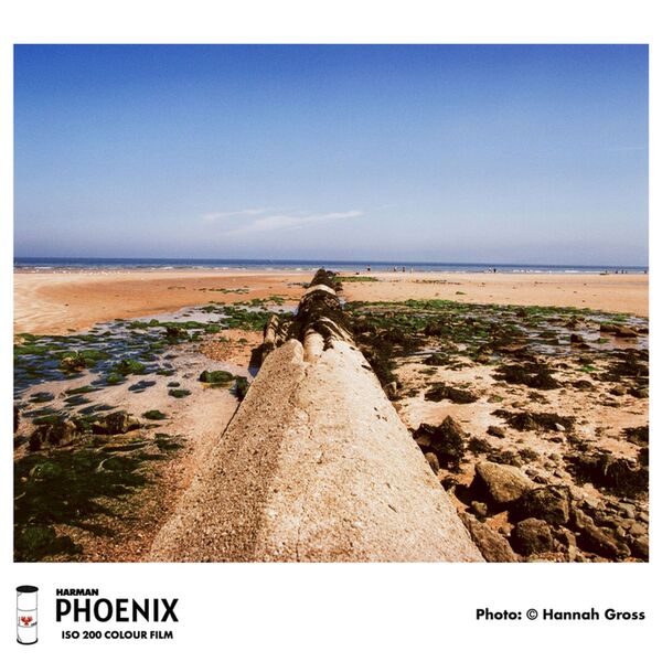 Harman Phoenix 200 Colour Film 120 