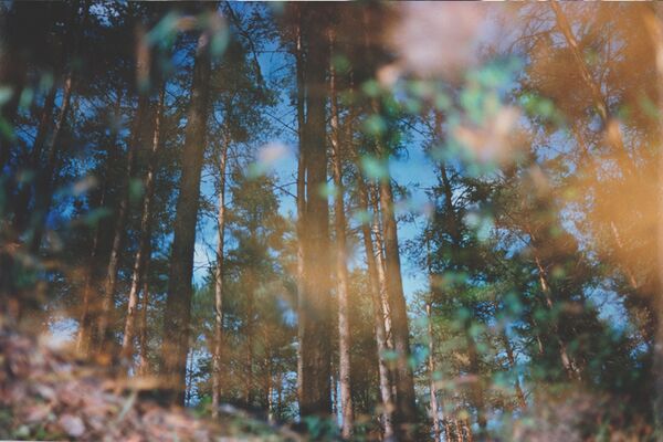 Holga 60mm f/8,0  Nikon FX