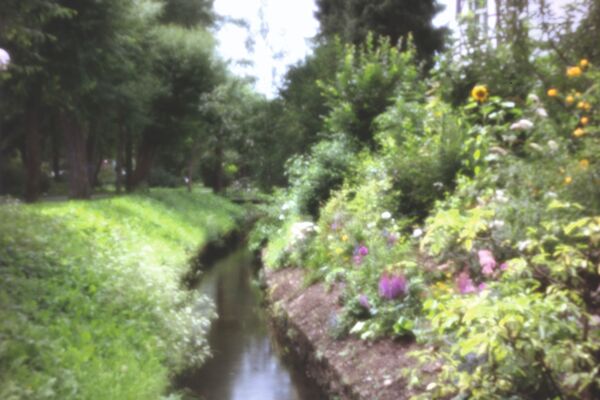 Holga Lochobjektiv  Nikon Fx