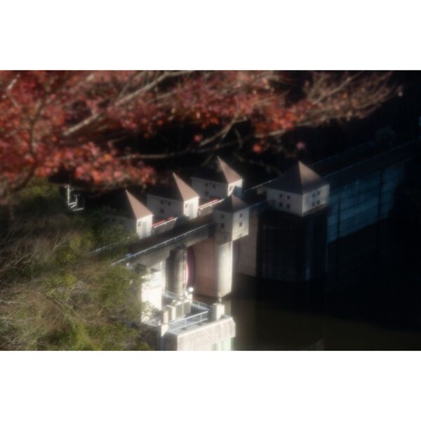 Hoya Diffuser No1  49mm