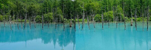 Hoya PL-CIR, Fusion One  40,5mm