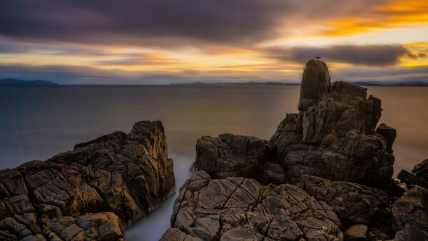 Hoya Sq100  Sq100 IRND1000 (3.0) HD