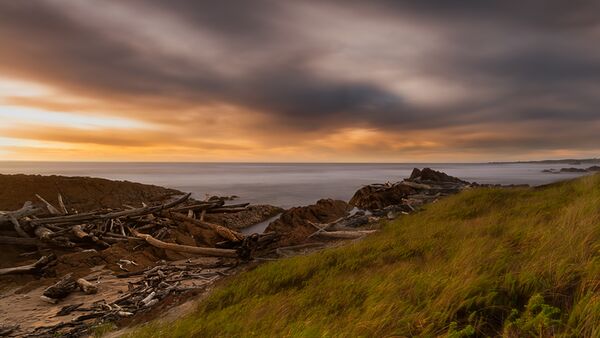 Hoya Sq100  Sq100 IRND16 (1.2) GRAD-S HD