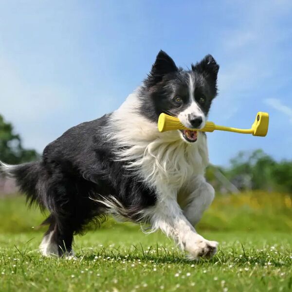 Insta360 GO 3 Apportier-Stick 