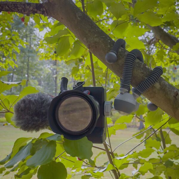 Joby PodZilla Flexibles Stativ  Medium Kit grau