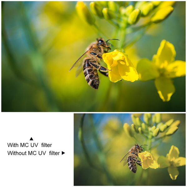 K&F Concept MC UV Filter  67mm Blue Coat