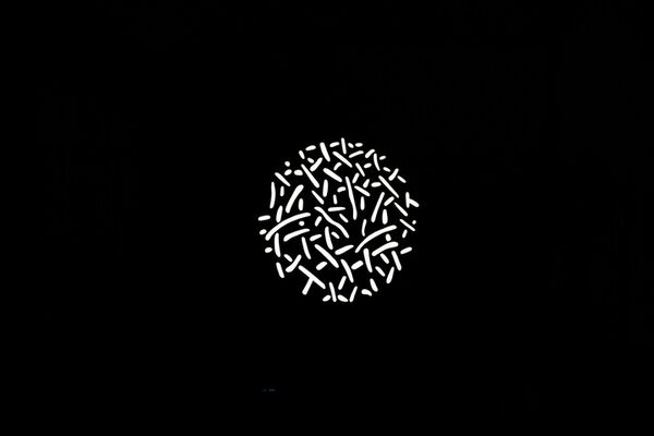 Nanlite  Gobo-Set 1 AS-GB-FZ60-SET1, bestehend aus Gobo NL05 - NL14, für 3760 und 3761 