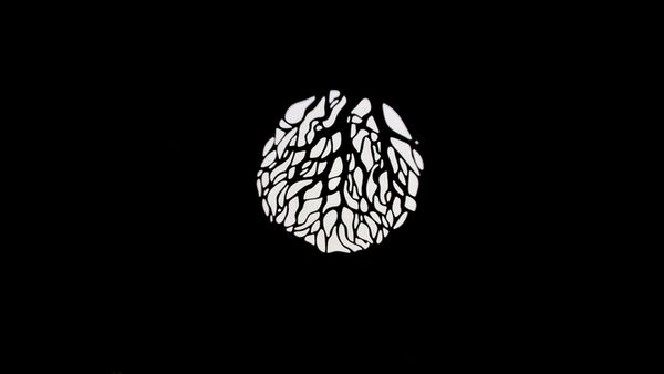 Nanlite  Projektionsvorsatz PJ-BM-19 