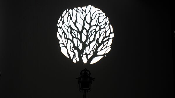 Nanlite Projektionsvorsatz PJ-BM-36 