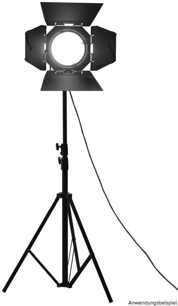 Nanlite Reportage- und Studio-Scheinwerfer Forza  300B II
