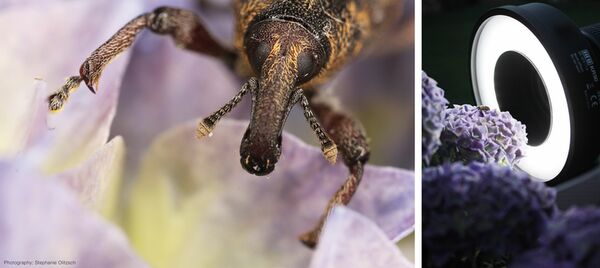 Kaiser Ringleuchte KR90 