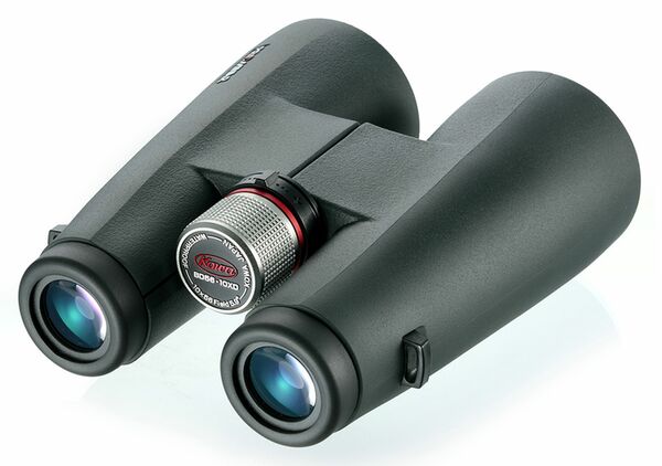 Kowa Fernglas Prominar BD56-10 XD BD 10x56 XD 