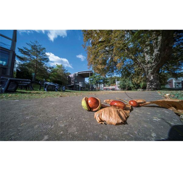 LAOWA 10-18mm f/4,5-5,6  L-Mount