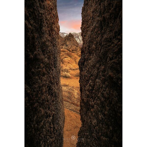 LAOWA 24mm T14 2X Periprobe  Canon EF