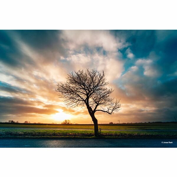 LAOWA 9mm f/2,8 Zero-D  Nikon Z (DX)