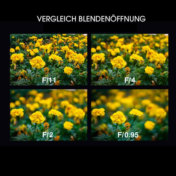 LAOWA Argus 33mm f/0,95 CF APO  Fujifilm X