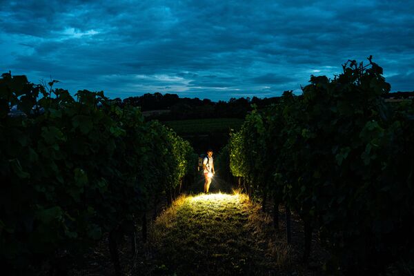 Ledlenser H19R Signature 