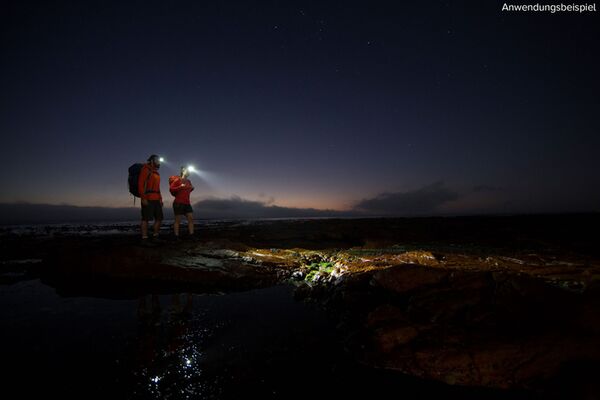 Ledlenser MH8 schwarz 