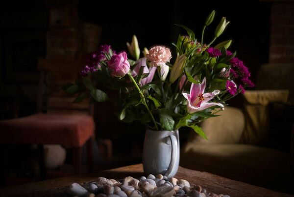 Leica 35mm f/1,4 Summilux-M  Leica M