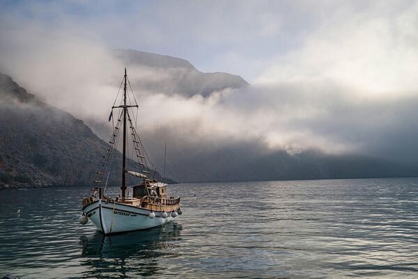 Leica 35mm f/1,4 Summilux-M  Leica M