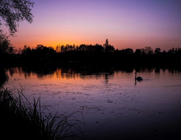 Leica Apo-Summicron-M 35mm f/2 asph.  Leica M