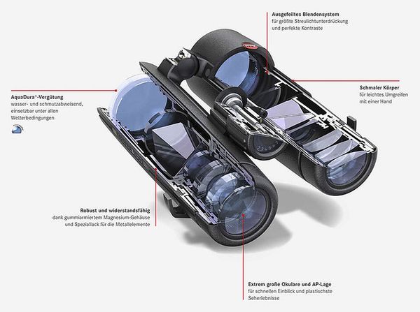 Leica Noctivid 10x42 