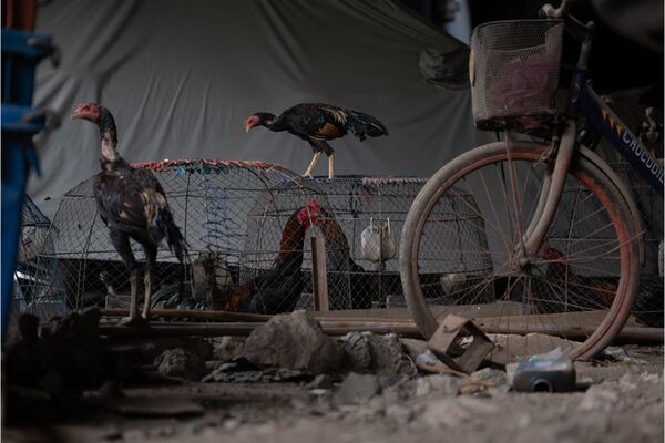 Leica Vario-Elmarit-SL 28-70mm f/2,8 asph.  L-Mount