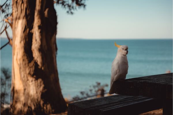 Leica Vario-Elmarit-SL 28-70mm f/2,8 asph.  L-Mount