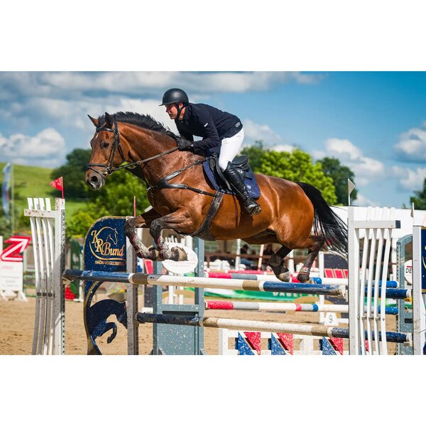 Leica VARIO-ELMARIT-SL 70-200mm f/2.8  ASPH.  L-Mount