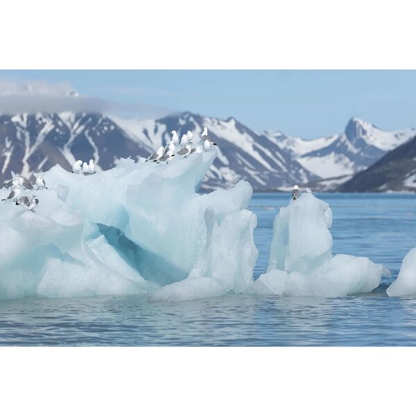 Leica VARIO-ELMARIT-SL 70-200mm f/2.8  ASPH.  L-Mount