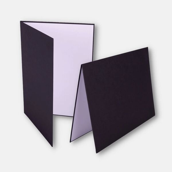 Lens-Aid V-Flat Reflektor für dein Fotostudio  2er Pack A3