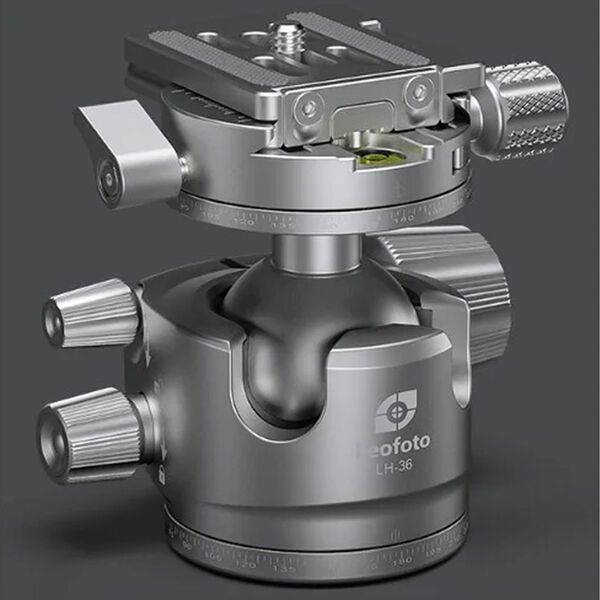 Leofoto Carbon-Dreibeinstativ LG-284C Gabriel + Ballhead LH-36R Silver 