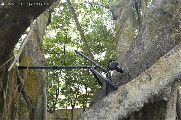 Leofoto Ranger LS-284 CVL Explorer 