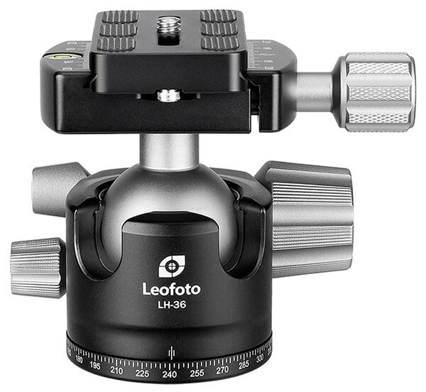 Leofoto Stativ Ranger LS-285C+LH-36 