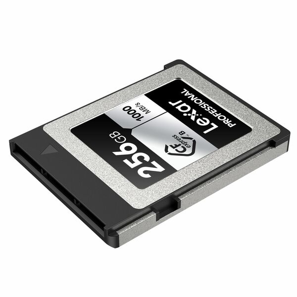 Lexar CFExpress Professional Type B Silver - 1000MB/s  256 GB
