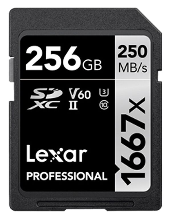 Lexar SDXC Professional Type Silver - 1667x 250MB/s V60 II  256 GB