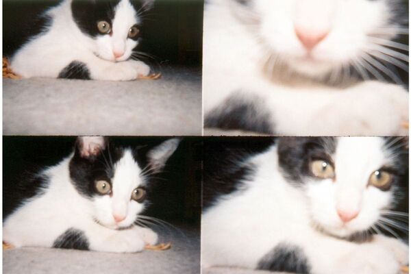 Lomography Actionsampler Transparent 