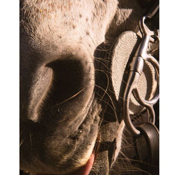 Lomography Adaperring mit Nahaufnahmefunktion  Nikon Z Leica M