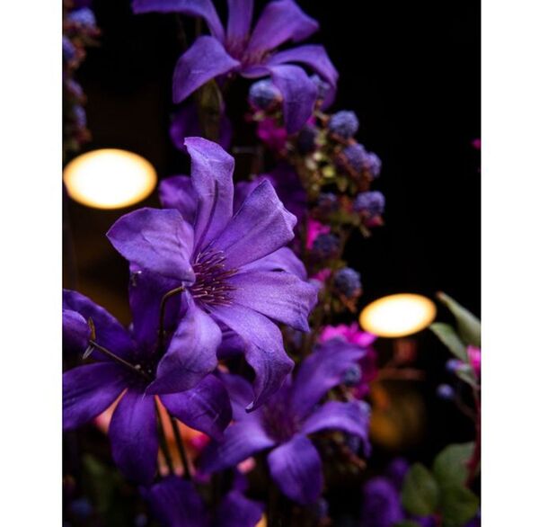 Lomography Adaperring mit Nahaufnahmefunktion  Sony E Leica M