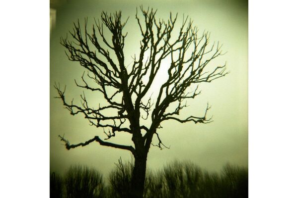 Lomography Diana F+ Kamera & Blitz  F+