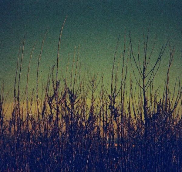 Lomography Farbnegativfilm 110 ISO 200  Redscale  1er Pack