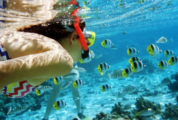 Lomography Farbnegativfilm 35mm ISO 100  3er Pack