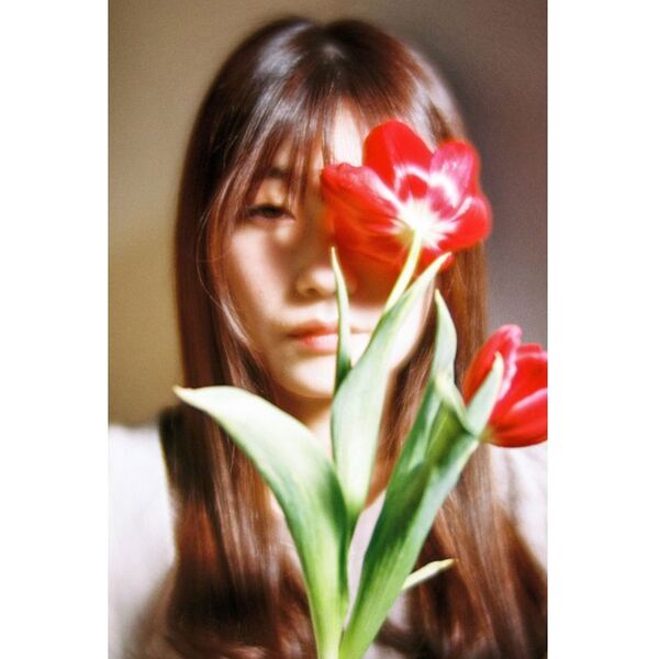 Lomography Farbnegativfilm 35mm ISO 100  3er Pack