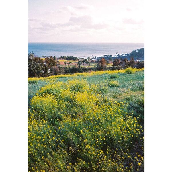 Lomography Farbnegativfilm 35mm ISO 400 3pack  3er Pack