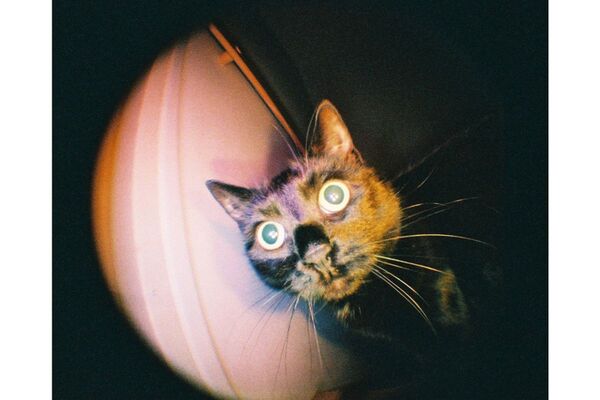 Lomography Fisheye Baby 110  Metal Black